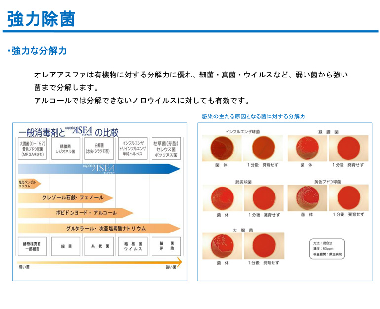 asfa_catalog-5